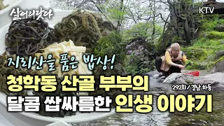 (살어리랏다)(292회) 청학동 산골 부부의 달콤 쌉싸름한 인생 이야기! koreatv, country, wild greens, Jiri Mountain (경남 하동)