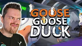 Goose Goose Duck | 09.04.2024 | @Herdyn