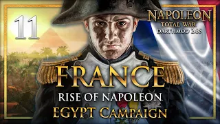 ADVANCING ON THE OTTOMANS & THE BRITISH! Napoleon Total War: Darthmod - France - Egypt Campaign #11