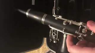 Buffet Crampon Prodige clarinet tour/unboxing!