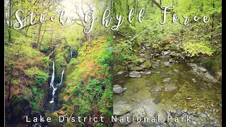 Lake District | Stock Ghyll Force Waterfall