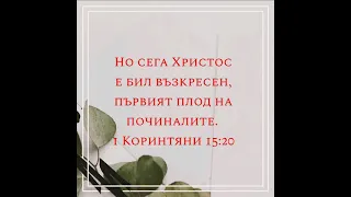 Стихове от Библията #12