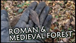 Roman & Medieval Finds in Forest  #49