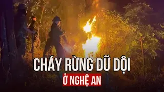 Cháy rừng dữ dội ở Nghệ An, hàng trăm người dập lửa trong đêm