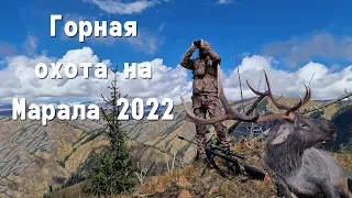 Горная охота на марала. Mountain hunting for Maral