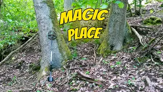 Can Finds Grow On Trees? Metal Detecting A Magic Place!