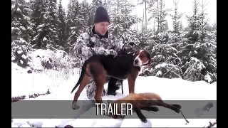 NH: TRAILER | Fox hunting with hounds 2018