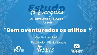 Estudo do Evangelho | Bem Aventurados os Aflitos (Flávio Santos)
