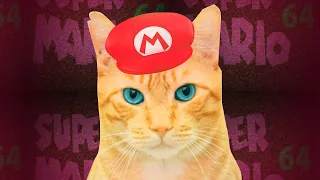 My Cat In Super Mario 64