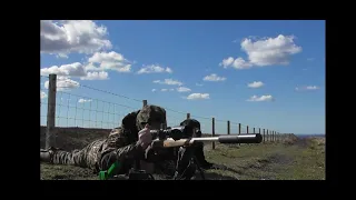 Lamb Protection With Centrefire Rifles Part Two