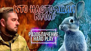 КТО НАСТОЯЩИЙ КРОЛ? I РАЗОБЛАЧЕНИЕ HARD PLAY (РОФЛ)