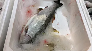Turkey 🇹🇷 Alanya. Магазин Metro покупка рыбы ! Что почем ?!