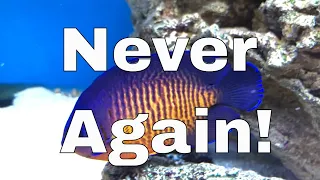 5 Saltwater Fish I Regret Buying...and Why?