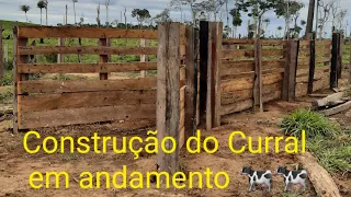 CONSTRUÇÃO DO CURRAL PARTE (01)