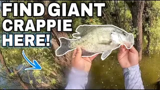 We Found GIANT CRAPPIE Hiding In WILLOW TREES At This Spillway‼️ August 2023‼️