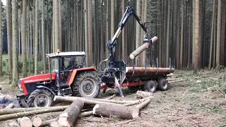 Zetor Crystal 10245 forest