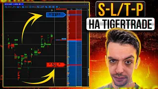 4 Способи як Поставити Stop Loss і Take Profit в Tiger Trade