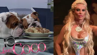 Full Episode: Venus Love Goddess CoCo plays Puppy Matchmaker | Ice Loves CoCo Season 2 E 6 E! Rewind