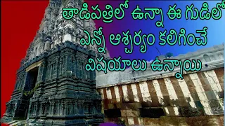 Sri Chintala Venkata Ramana Swamy Temple ll Tadipatri ll @sancharisuresh