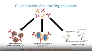 Two years into the COVID-19 pandemic... What can serology testing tell us about immune status?