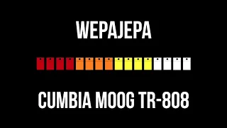 Wepajepa - Cumbia Moog TR-808 #808day