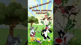 Веселой пятницы!!! Улыбок, радости, счастья! Вы не забыли? Ведь сегодня ПЯТНИЦА!!! #Shorts