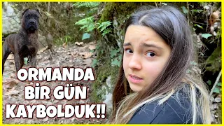 ORMANDA BİR GÜN GEÇİRDİK! KAYBOLDUK OYUNCAX