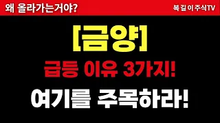 금양-급등하는 이유 3가지! 여기를 주목하라!