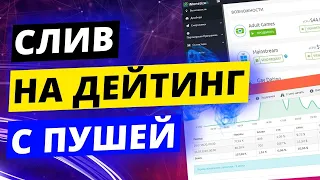 ЗАКИНУЛ 500$ АРБИТРАЖ ТРАФИКА с PUSH-УВЕДОМЛЕНИЙ! Как НОВИЧКУ начать с 10$ ЛИТЬ на дейтинг партнерки