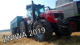 ŻNIWA 2019 Grabik // 5xClaas & 3xMassey Ferguson :D