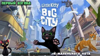 Первый взгляд игры "Little Kitty Big City"