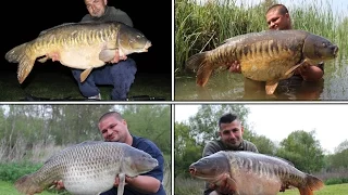 Carp Fishing Cottington Lakes 2016 (Including 14 fish over 30lbs to 41lbs)