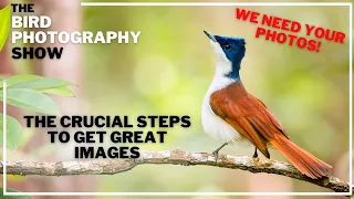 We Need YOUR Photos! | The CRUCIAL Steps To Get GREAT Images! | GIVEAWAY!