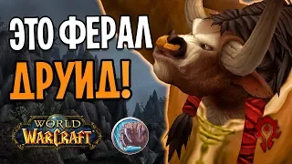 БЕРЕГИТЕСЬ! ЭТО ФЕРАЛ ДРУИД В WOW