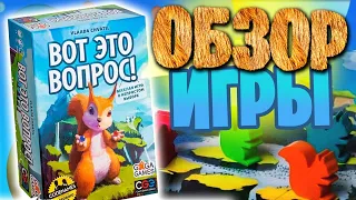 Вот это вопрос! - обзор настольной игры про непростой выбор