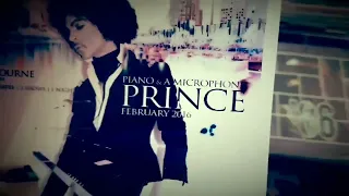 Prince. Purple Rain Day (2)