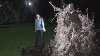 Surveying Storm Damage In Sauk Center, Alexandria