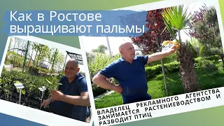 Почему сочинцы покупают пальмы в Ростове? Какие еще удивительные растения выращивает Аркадий Зятиков