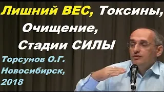 Лишний ВЕС, Токсины, Очищение, Стадии СИЛЫ.  Торсунов О.Г. Новосибирск,  2018