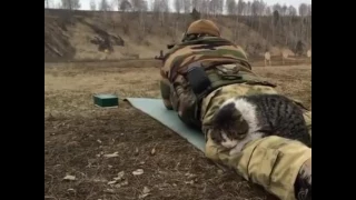 Котик на стрільбищі