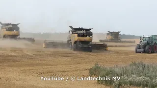 3X NH 10.90-3x Fendt 1050-++ / Getreideernte - Grain Harvest  2019