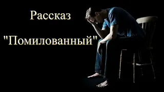 Рассказ Светланы Тимохиной "Помилованный". Авторское чтение.