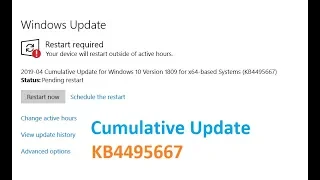 Cumulative Update for Windows 10 Version 1809 for x64 based Systems KB4495667