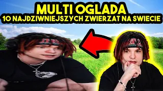 MULTI ogląda 10 NAJDZIWNIEJSZYCH ZWIERZĄT NA ŚWIECIE