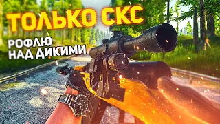 БЕЗ БРОНИ НА РАЗВЯЗКЕ (Escape from Tarkov / Тарков)