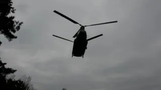 royal netherlands airforce chinook in convient landing-area GLV-5