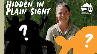Zoo secrets, and where to find them! | Australia Zoo Life
