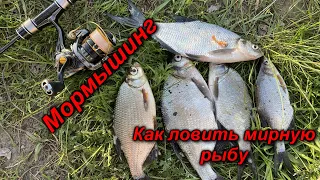 Мормышинг. Ловля мирной рыбы