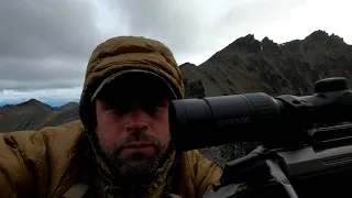 Alaska range dall sheep, grizzly bear, moose hunt 2020. Phil's first grizzly.  Gopro Hero8 Part 2