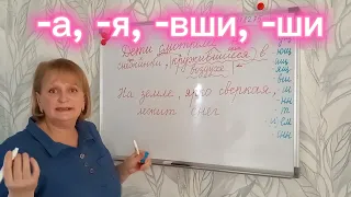 Учимся отличать причастный оборот от деепричастного. 7 класс.